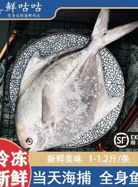 大鲳鱼超大新鲜非冷冻活特鲜活鳊鱼平鲳鱼银鲳鱼宁波舟山海鲜水产