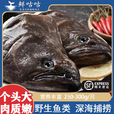 新鲜鸦片鱼头特大鱼头无冰