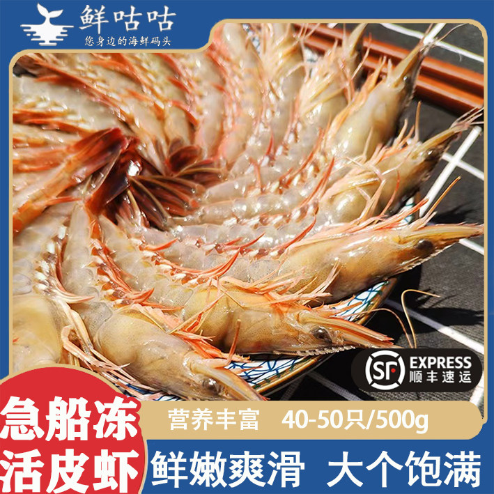 活皮虾剑虾滑皮虾野生新鲜鲜活海捕海虾海鲜水产宁波舟山食用盒装