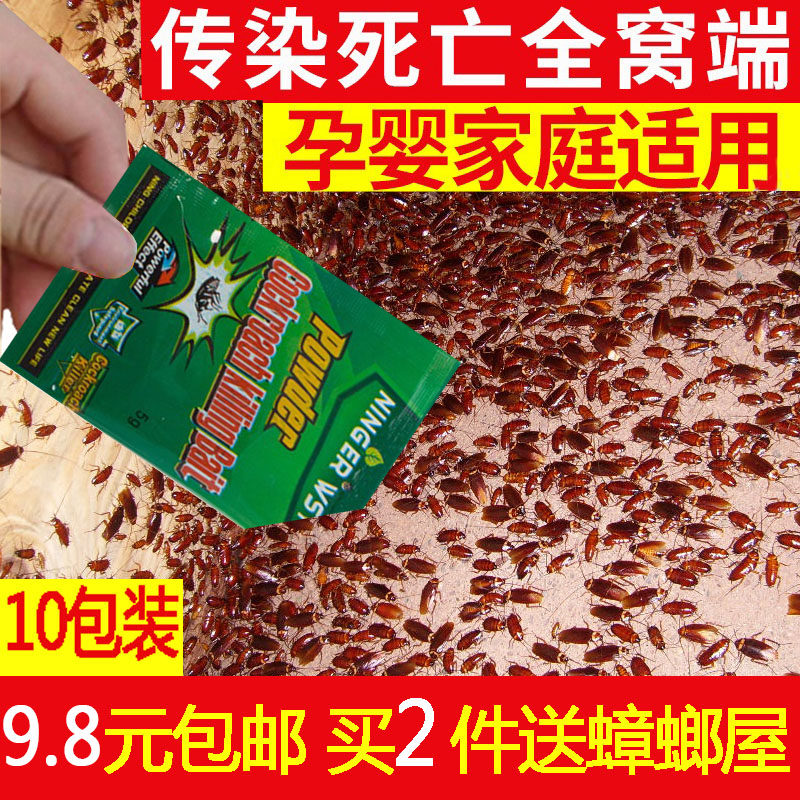 蟑螂药强效第家用一名全窝端灭小强非无毒除曱甴脏螂药粉贴墙正品