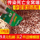 蟑螂药强效第家用一名全窝端灭小强非无毒除曱甴脏螂药粉贴墙正品