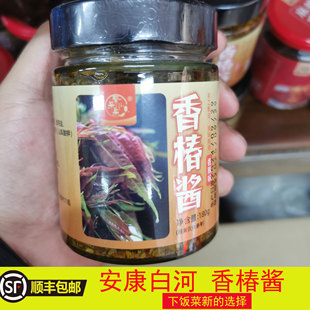 香椿酱 陕南白河特产安康香春芽子下饭菜夹馍拌饭辣椒酱180g/瓶