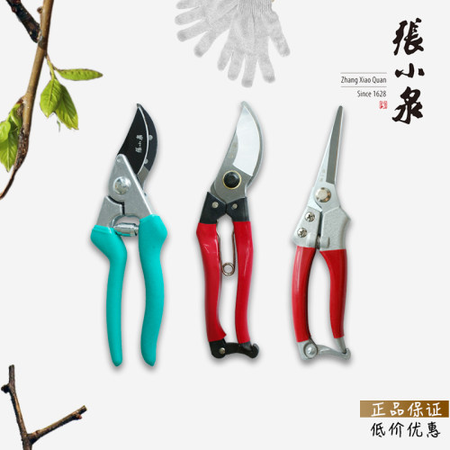 张小泉园林剪刀修剪树枝果树植物
