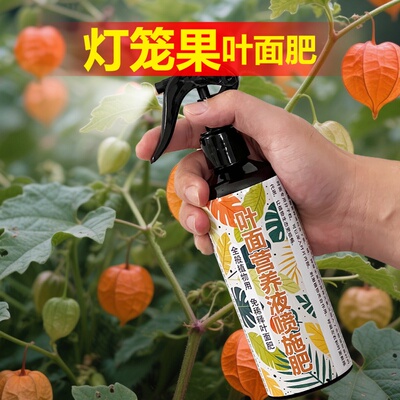 灯笼果专用肥料盆栽种植灯笼果树苗营养液氮磷钾颗粒浓缩有机肥料
