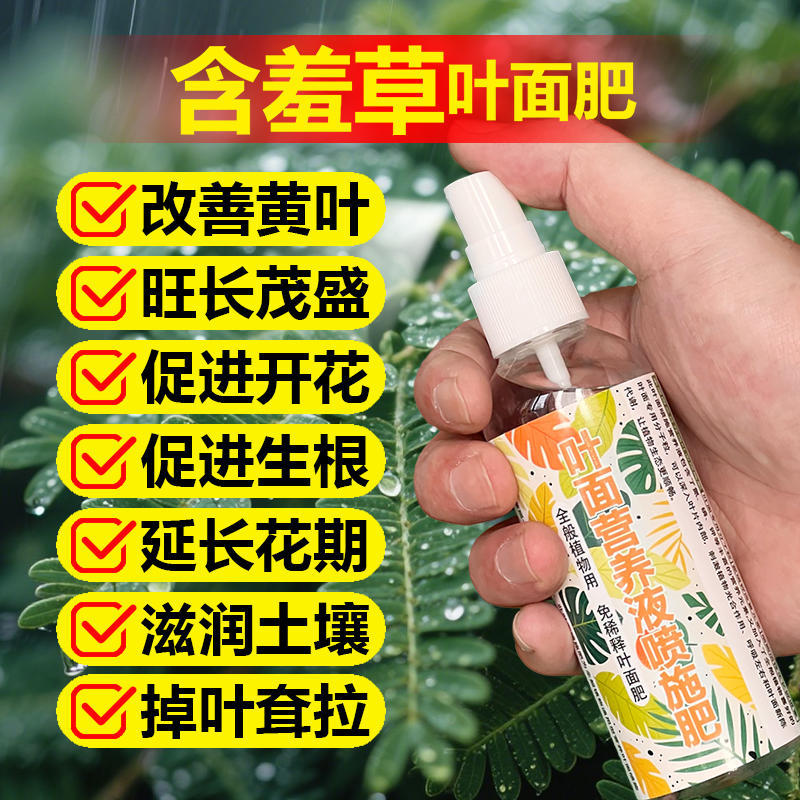 含羞草专用肥料盆景盆栽水培土培营养液叶面肥花肥颗粒缓释肥肥料