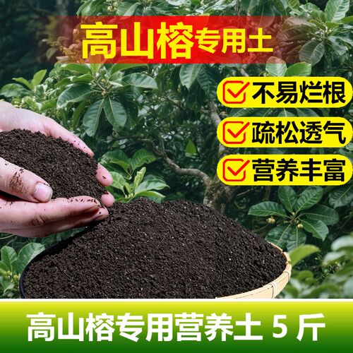 高山榕专用土料盆景花盆栽绿植高山榕树金叶榕专用土营养土种植料