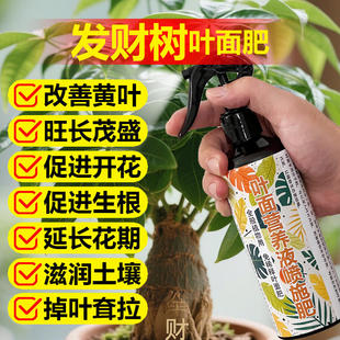 发财树专用肥料盆景植物营养液盆栽肥料促长新枝叶长新芽翠绿茂盛