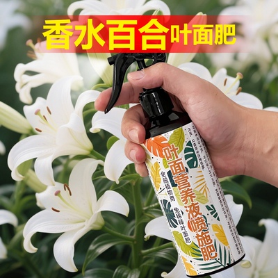 香水百合种球专用肥料养护花盆栽营养液养殖百合花专用土叶面肥料
