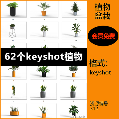 【312】62个keyshot植物模型库植物盆栽花草树木模型渲染文件