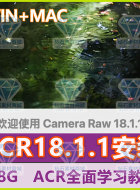 Camera Raw18.1.1 PS调色插件2026新版ACR18.0滤镜视频教学A7C2R5