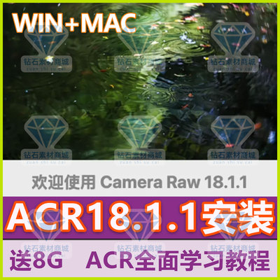 Camera Raw18.1.1 PS调色插件2026新版ACR18.0滤镜视频教学A7C2R5