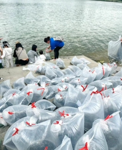 活鱼泥鳅鱼类鲤鱼锦鲤红鲤鱼淡水鱼白磷甲鱼田螺