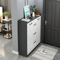 Ультра -типичный шкаф для обуви все -ин