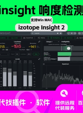izotope insight 2 响度计量 混音 母带分析 电音 流行 声相 相位