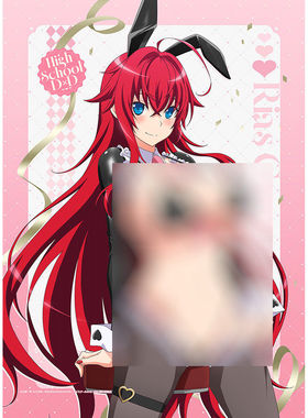 限购五件 Key-th 恶魔高校DxD C107 逆bunny 挂画 挂轴 5月预定