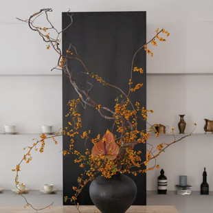 龙枣干枝树枝树干中式装饰天然弯曲龙爪插花干枝侘寂风干禅意干花