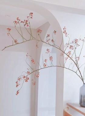 山归来红果永生花不掉果天然干花树枝高级侘寂风摆件植物客厅摆设