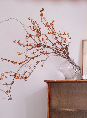 insfeng南蛇藤山归来天然植物干花花束客厅桌面树枝装饰干花侘寂