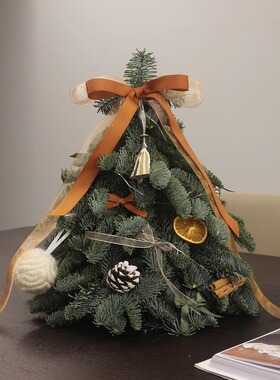 insfeng荷兰进口诺贝松圣诞树松枝鲜切水培绿植圣诞节植物水养