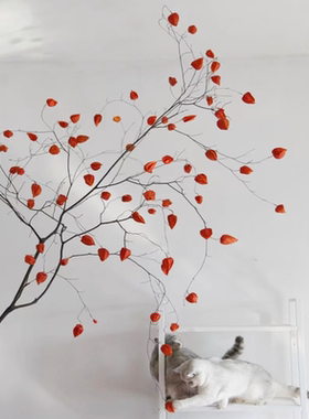 日本吊钟灯笼果干花干枝真枝假叶植物仿真绿植造景摆件装饰浆果灯