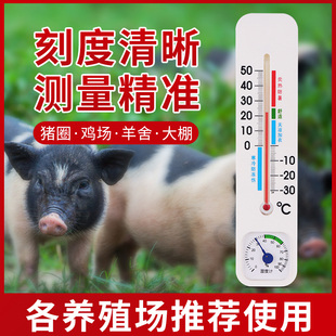 养殖场温湿度计养鸡养猪场专用鸡舍用温湿表养鸡场温度计湿度计