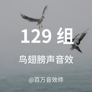 各种鸟类翅膀扇动的声音单个翅膀声大量群鸟起飞声有少量鸟类叫声