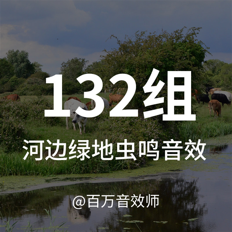 【音效素材】河边的声音，包含各种岸边的水流、鸟叫、昆虫的叫声