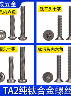 TA2纯钛沉头半圆头内六角螺丝钉平头十字钛合金蘑菇盘头元杯M3456