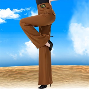 子阔腿裤 交谊舞拉丁舞吉特巴国标舞蹈裤 广场舞 女新款 高腰摩登舞裤