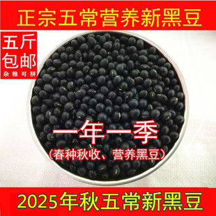 老兵米店黑豆新货新东北五常农家大小黑豆打豆浆专用粉豆饭500g