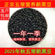 老兵米店黑豆新货新东北五常农家大小黑豆打豆浆专用粉豆饭500g