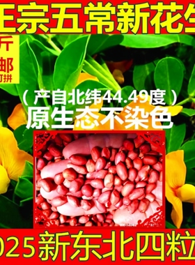 老兵米店新鲜东北五常农家自产大粒四粒红衣红皮花生米500克真空