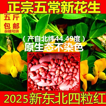 老兵米店新鲜东北五常农家自产大粒四粒红衣红皮花生米500克真空