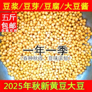 老兵米店东北本地五常农家黄豆非转基因打豆浆自种酱油发芽豆一级