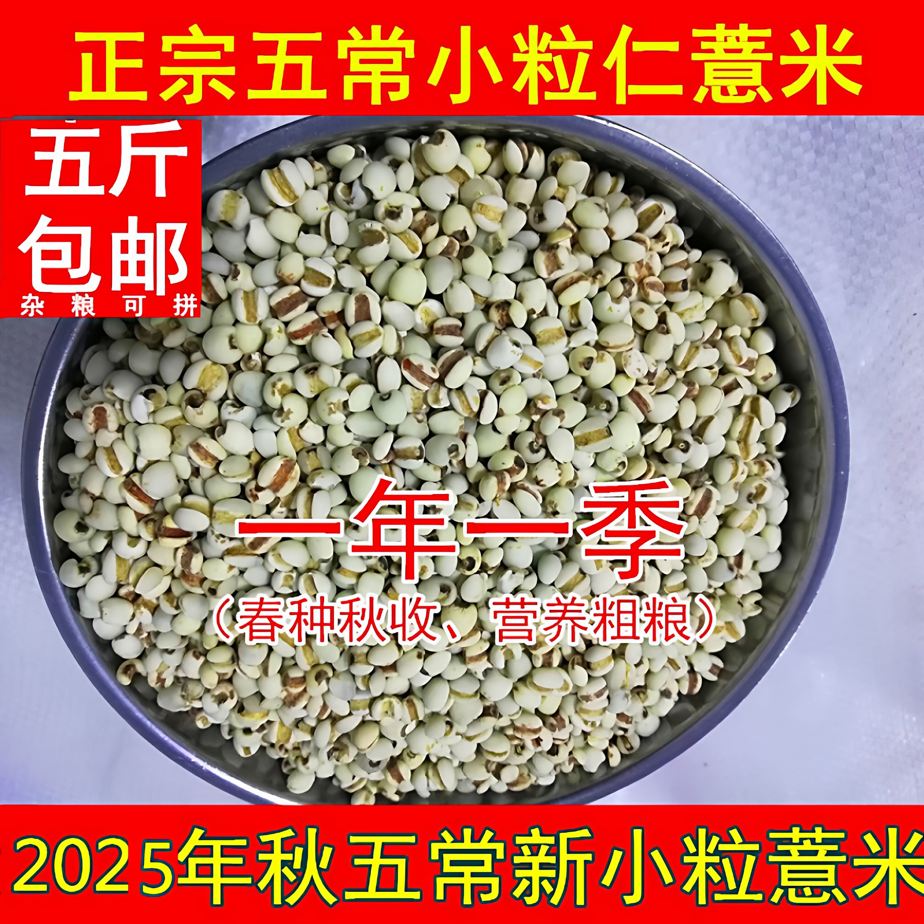 老兵米店小薏米新货薏仁东北五常农家500g真空装小粒粗粮薏米新米
