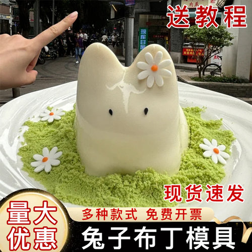 兔子奶冻猫咪模具现货送制作教程