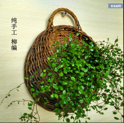 挂篮花盆藤编吊兰墙上
