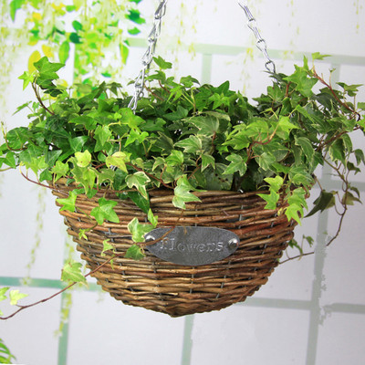 吊兰花盆花篮吊藤编编织花盆垂吊盆壁挂悬挂挂钩藤编吊篮悬吊花盆