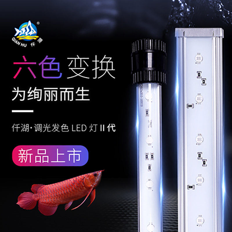 仟湖龙鱼发色等颜色可调鱼缸通用