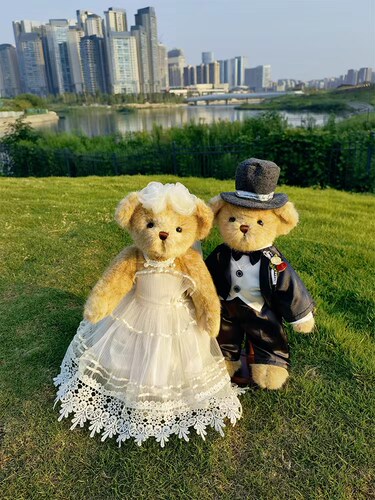 压床娃娃一对送闺蜜泰迪熊小熊结婚礼物毛绒玩具情侣婚纱婚车公仔 - 封面