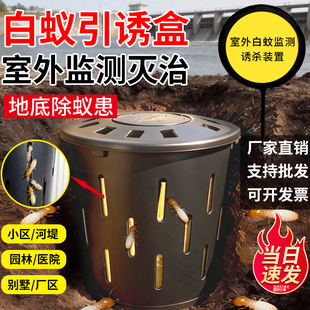户外专用建筑河堤坝预防治除灭白蚂蚁剂桩监测装置地下白蚁引诱盒