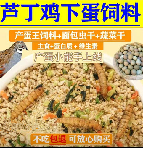 鸡饲料芦丁鸡鹌鹑雏鸡鸡