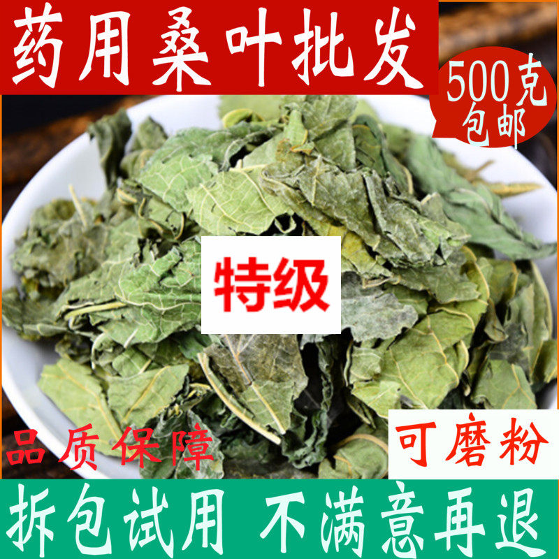 干桑叶中药材新鲜桑树叶霜后