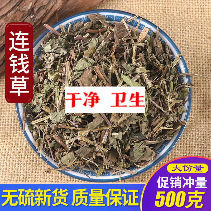 同仁堂野生包邮新鲜金钱草中药材