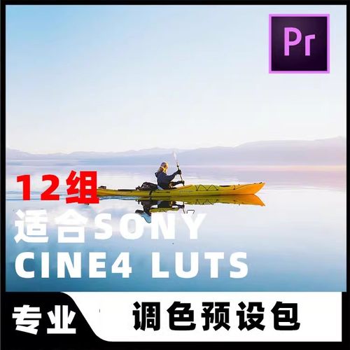 Codyblue pack4油管网红vlog索尼专用CINE4 CINE2 PP调色luts预设