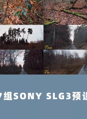 7款SONY索尼SLOG3调色滤镜预设LUTS（AE/PR/PS/FCPX/达芬奇）