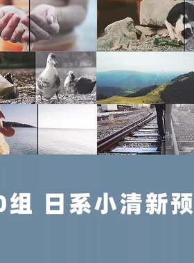 60组日系小清新风格调色滤镜预设LUTS(AE/PS/PR/FCPX/达芬奇)