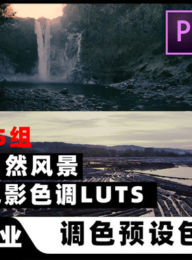 自然风格nature电影色调SLOG/VLOG视频调色LUTS滤镜预设AEPR/FCPX