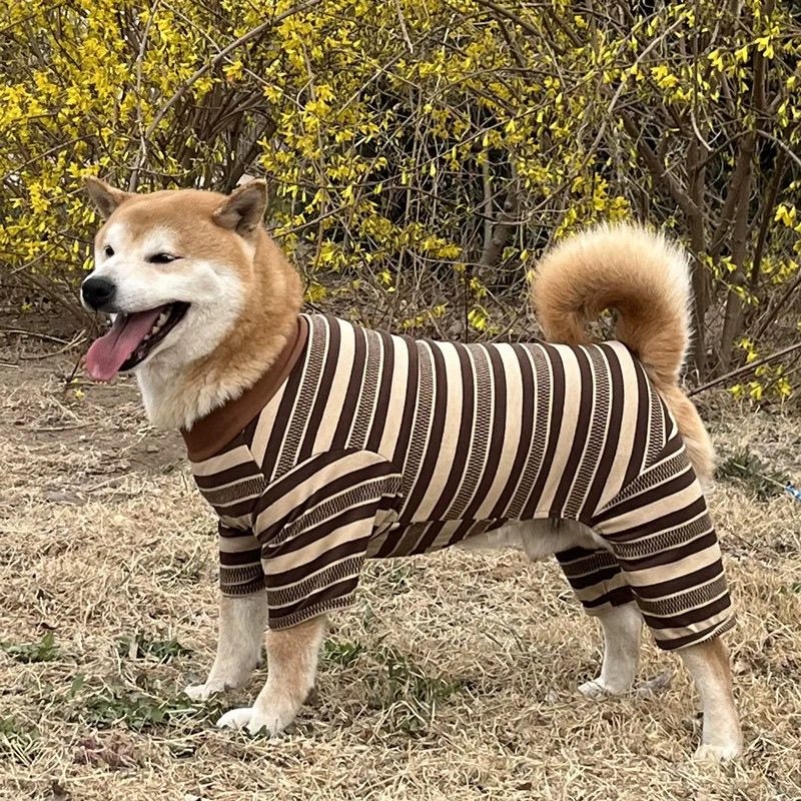 大狗衣服冬季加绒金毛秋田拉布拉多中大型犬狗狗防掉毛四脚衣服装