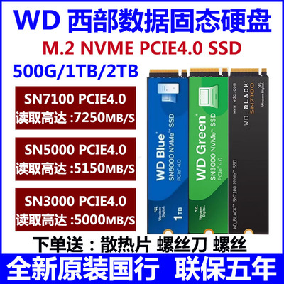 WD西部数据1TBM.2固态硬盘